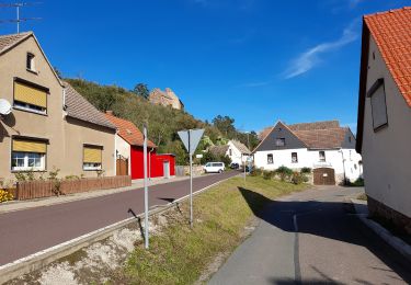 Percorso A piedi Gerbstedt - Rund um Friedeburg - Photo