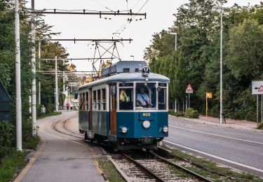 Percorso A piedi Trieste - Aurisina - Opicina - Photo