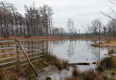 Randonnée Marche Maldegem - Drongengoedbos - Photo