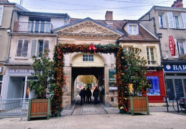 Percorso Marcia Château-Landon - De Château Landon à Nemours - Photo