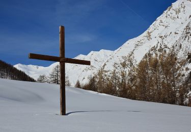 Tocht Sneeuwschoenen La Condamine-Châtelard - Condamine - Châtelard - Vallée du Parpaillon - Photo