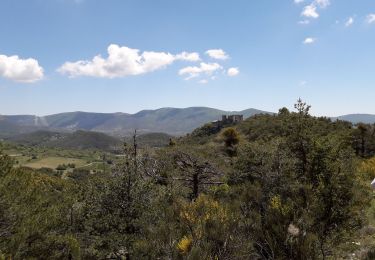 Tocht Stappen La Bastide - La Bastide Bargème  - Photo