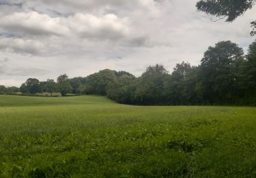 Tocht Stappen Theux - neufmarteau . royonpré retour via trou cola  - Photo