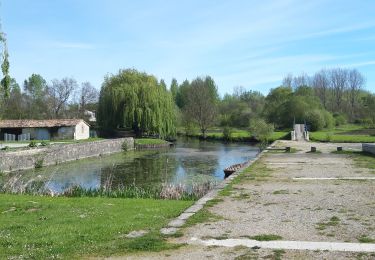 Trail Walking Le Vanneau-Irleau - Le Vanneau-Irleau - Photo