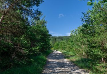 Tocht Stappen Espeluche - 2022-10-20_15h14m37_GPX-Bois-Jamot-Espeluche - Photo