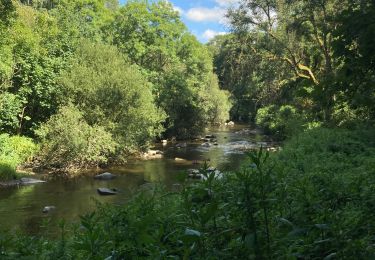 Trail Walking Pontrieux - Pontrieux GR des moulins - Photo