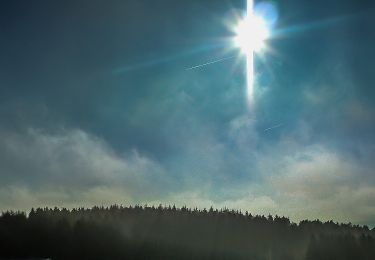 Tour Zu Fuß Hellenthal - Hellenthal Rundweg 9 - Photo