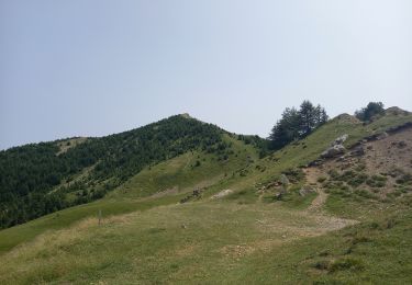 Tocht Stappen Réallon - Boucle Col de la Gardette 2125m 22.7.23 - Photo