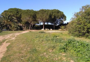 Percorso A piedi Alghero - sentiero giallo - Photo