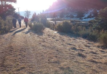 Trail Walking Soleilhas - Le Crémon depuis le Col St Barnabé  - Photo