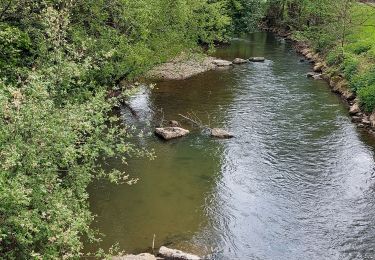 Randonnée Marche Ham-sur-Heure-Nalinnes - jamioulx - Photo