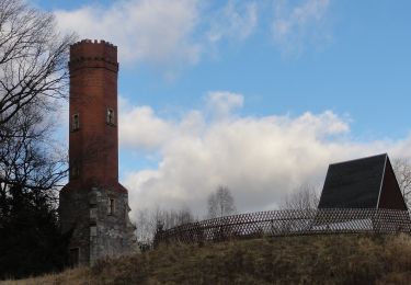 Randonnée A pied Schneeberg - Ww Keilberg - Forstteich - Photo