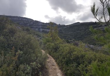 Randonnée Marche Allauch - Parc de Pichauris - Garlaban - Photo