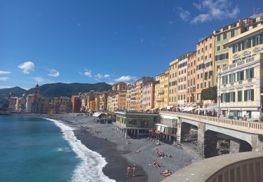 Trail Walking Camogli - Punta Chiara 2.5.23 - Photo