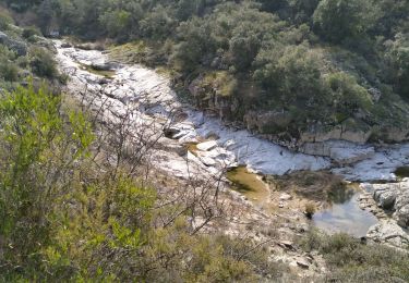 Trail Walking Le Muy - le couloubrier - Photo