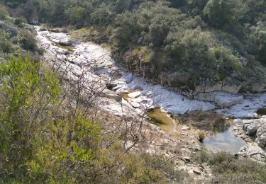 Tour Wandern Le Muy - le couloubrier - Photo