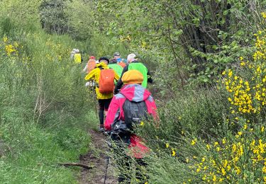 Percorso sport Mont-Dore - M’ont d’or jour2 - Photo