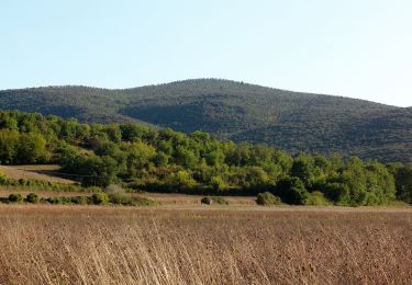 Trail On foot Monteriggioni - IT-105 - Photo