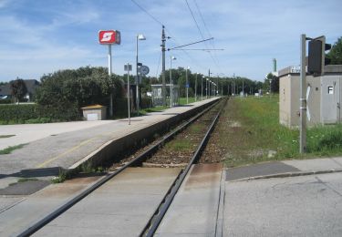 Tocht Te voet Gemeinde Allhartsberg - Naturbadweg - Photo