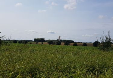 Tocht Stappen Borgworm - Waremme - Rocourt  - Photo