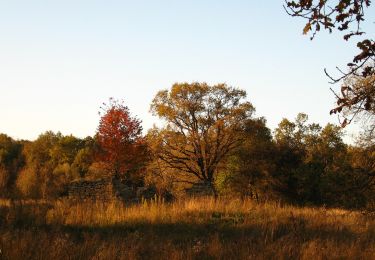 Tour Zu Fuß Ciurea - Bârnova - Poiana Schit - Photo