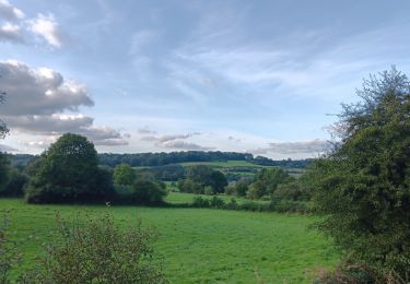 Tocht Stappen Theux - campagne sud de la reid  - Photo