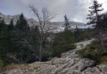 Tocht Stappen Villard-de-Lans - Le lac du clos du prey - Photo