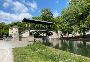 Randonnée Marche Lille - Lille Citadelle parcs remparts centre 12,5  km - Photo