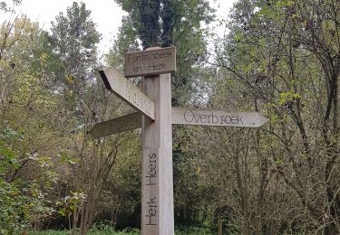 Tocht Stappen Heers - Mechelen - Bovelingen (Heers) - Photo