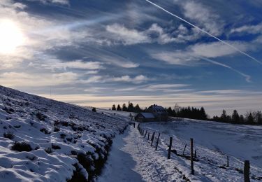 Tocht Stappen Sainte-Marie-aux-Mines - 2021-02-14 Marche Bagenelles Brezouard Fuste de Etoile - Photo