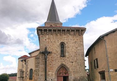 Trail On foot Fayet-Ronaye - Le Bois de Moranges - Photo