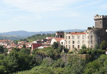 Randonnée Marche Châteaugay - Chateaugay_Champ_Griaud - Photo