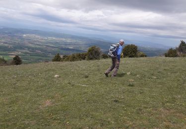 Tour Wandern Montjoyer - 06 05 21 - Photo