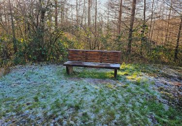 Randonnée Marche Gedinne - Balade à Patignies - Gedinne - Photo