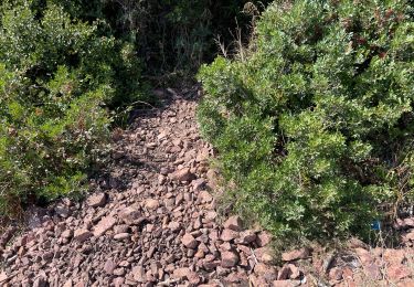 Tour Wandern Saint-Raphaël - Corniche cap roux 2 - Photo