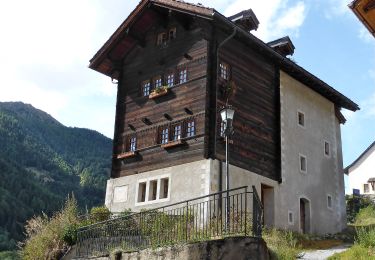 Randonnée A pied Anniviers - Grand Bisse de St-Jean - Photo