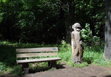 Tour Zu Fuß  - Kleine Heidetour - Photo