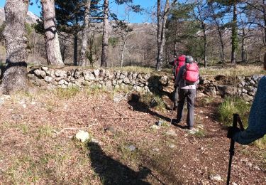 Tocht Stappen Saint-Vallier-de-Thiey - montagne de Thiey-forêt de Nans-19-04-23 - Photo