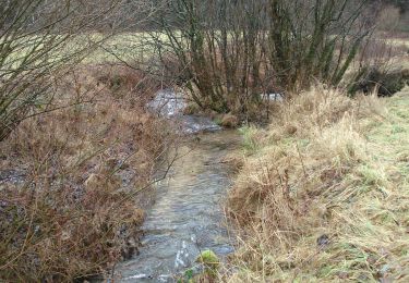 Tour Zu Fuß Frammersbach - Ortswanderweg Frammersbach 1 - Photo