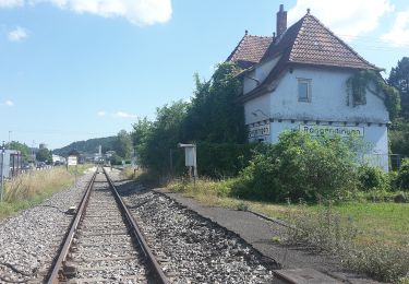 Tocht Te voet Hechingen - Rangedingen Umgebung - Photo