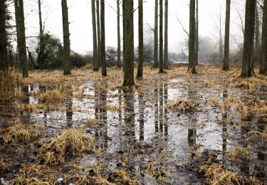 Trail On foot Erpe-Mere - Den Dotter rood - Photo