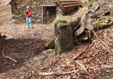 Tour Wandern Sacoué - Départ Ferrere mariage maison jaune direction Douly petso - Photo