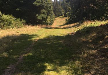 Tocht Stappen Ignaux - Col du Chioula - Photo