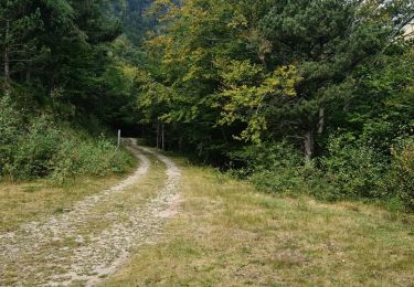 Percorso Marcia Prats-de-Mollo-la-Preste - La Preste - Col de Siern  - Photo