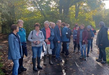 Tocht Stappen Couvin - 2023.10.26 Tamalous de la Botte  - Photo