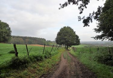 Excursión Senderismo Huldenberg - #191230a - Ottenburg, Rondebos & St Agatha-Rodebos - Photo