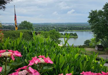 Tour Wandern Maastricht - Maastricht  [Nature & ville] - Photo