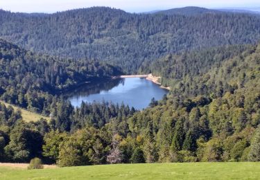 Tocht Wegfiets Gérardmer - schlucht markstein.gerardmer - Photo