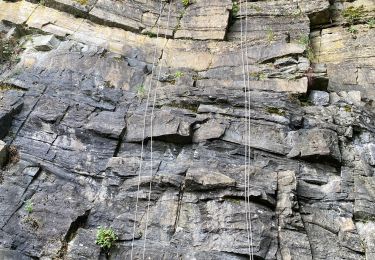 Trail Walking Yvoir - Le Bocq de Durnal Bauche - Photo