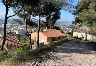 Excursión Senderismo Tolón - Autour du Mont Faron - Photo